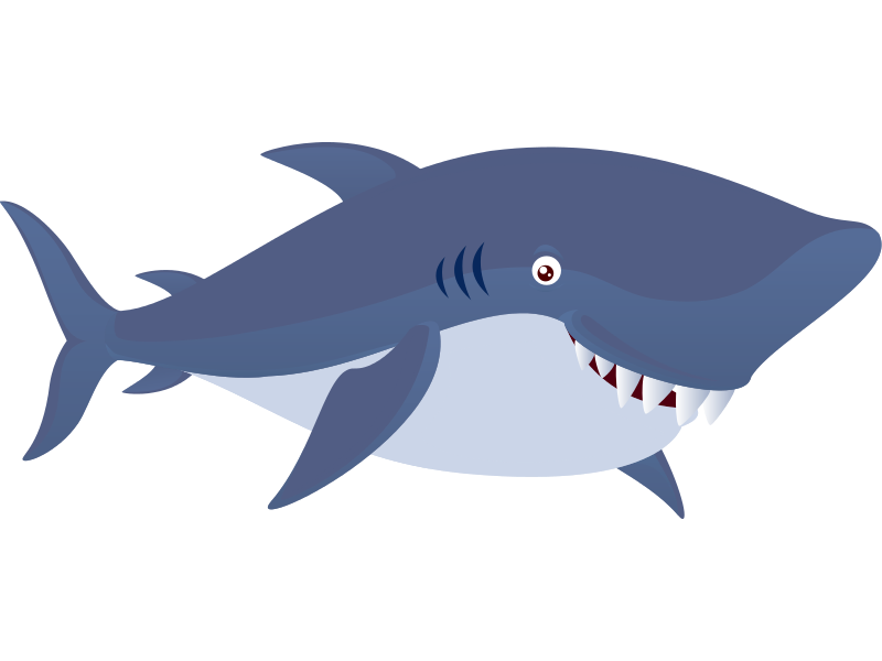 3a_a photo of the shark.png