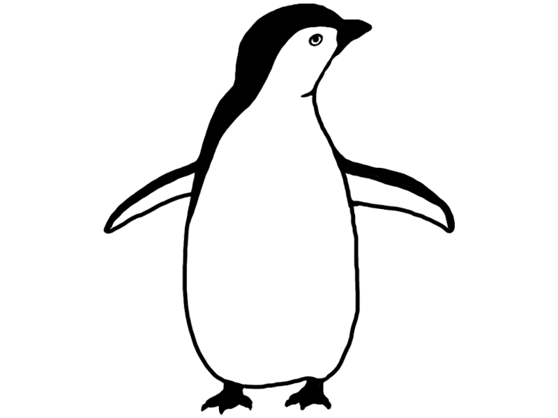 3b_a photo of the penguin.png