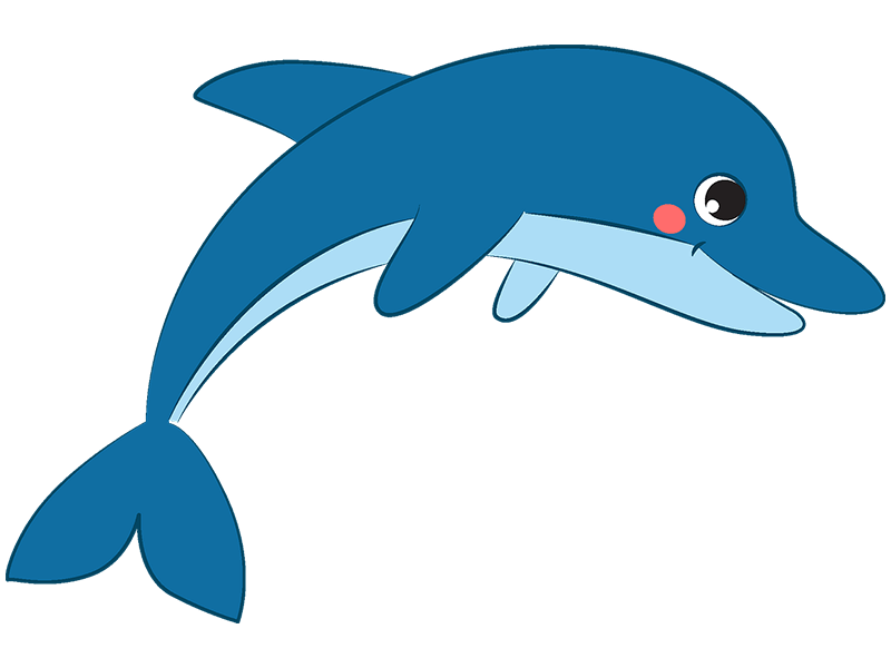 3c_a photo of the dolphin.png